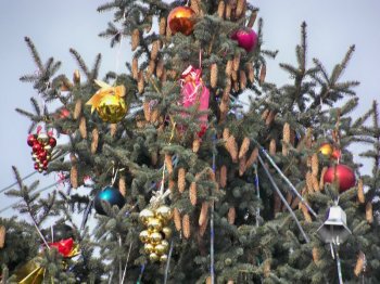 Главная елка Суворовского района из местных