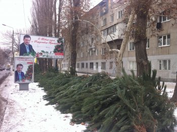 Елки наводнят Одессу к концу недели