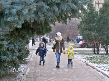 В Одессе без «крыши» не продают даже елки