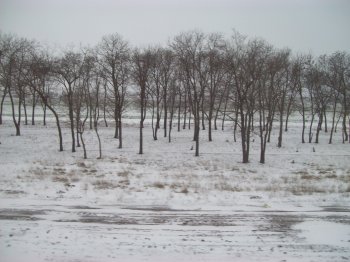Въезд в Одессу расчищен