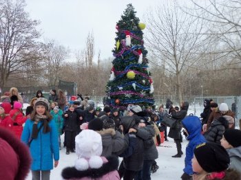 В парке Горького появилась ёлка