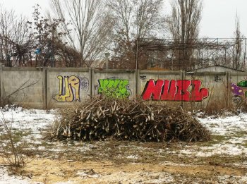 Старые тополя в Ильичевске обретут вторую жизнь