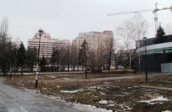 Одесские буржуины массово и нагло пилят деревья