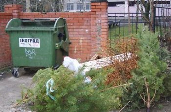 Уборка Одессы от новогодних елок продлится до конца марта