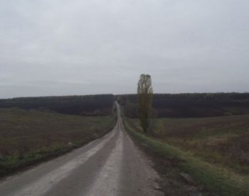 Перевёрнутая история