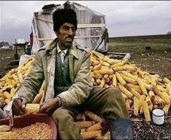 Ресурсы о. Змеиный получит не Румыния, а австрийцы и американцы