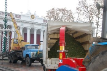 Главную елку Одессы раздробили