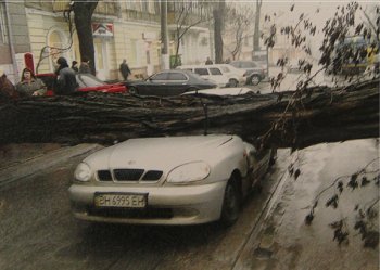 Резонансное ДТП на Преображенской: первая помощь пострадавшим пришла от одесситов