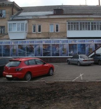 По примеру известного олигарха деревья в Одессе режут «купчишки» далеко «не первой руки»