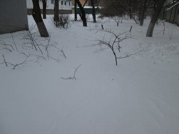 В Одессе снег. Часть 3