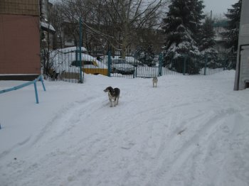 В Одессе снег. Часть 3