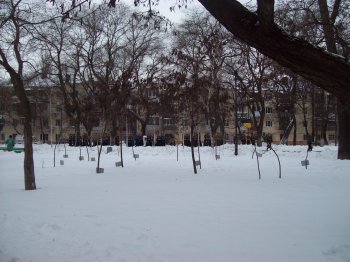 27 января – международный День памяти жертв Холокоста