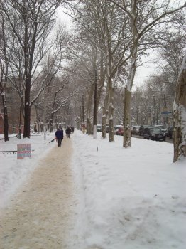 По Скоростной дороге со скоростью 5 км/ч (фото)