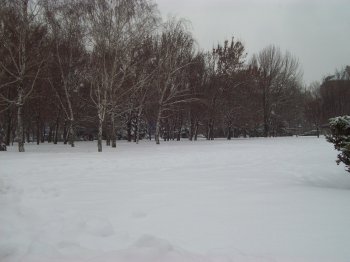 Область пока справляется с непогодой, а город?