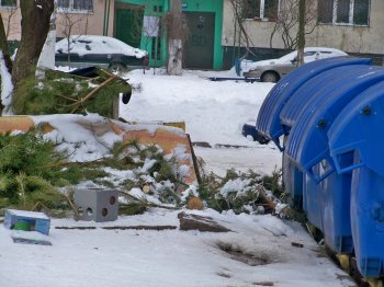 Одесситы массово избавляются от «колючих»: дворники в шоке