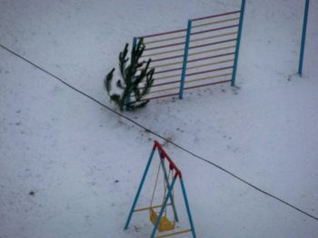 Одесситы массово избавляются от «колючих»: дворники в шоке