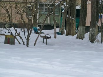 Дворникам, наконец, подсобила техника, некоторые трактора застряли в деревьях.