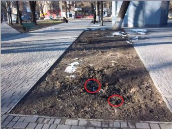 Очередной парк Одессы подвергся нападению вандалов
