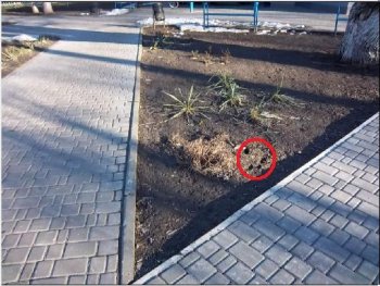 Очередной парк Одессы подвергся нападению вандалов