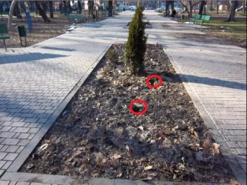 Очередной парк Одессы подвергся нападению вандалов