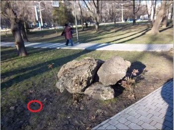 В Одессе неизвестные украли зеленые насаждения из парка Космонавтов