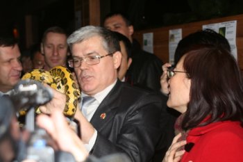Городское руководство вместе с китайцами улучшило жизнь ящерицам и удавам