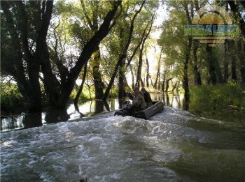 Часть «Днестровских плавней» потеряла статус заповедника