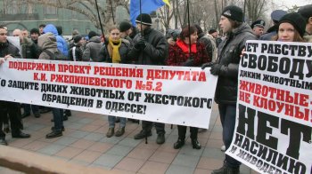 В  Одессе сессия. Часть 2