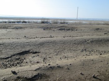 По дорогам юга Одесской области лучше ездить на тракторе, или танке (фото)