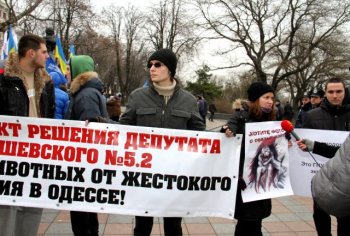Теперь фотографироваться с обезьянами и орлами в Одессе запрещено