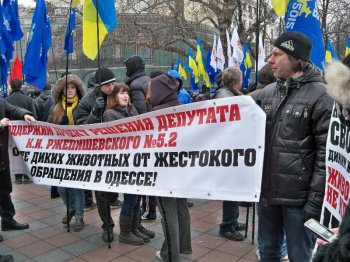 Уличные фотографы проигнорировали депутатский запрет
