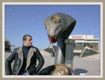 На морвокзале нашли змею