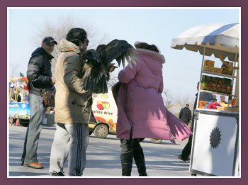 В Одессе милиция на стороне живодеров?