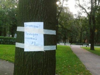 Собачники окрестностей улиц Космонавтов и Генерала Петрова в панике