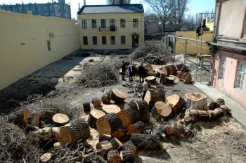 «Пересыпчанка» отчиталась за год работы: значимое событие – ремонт двора