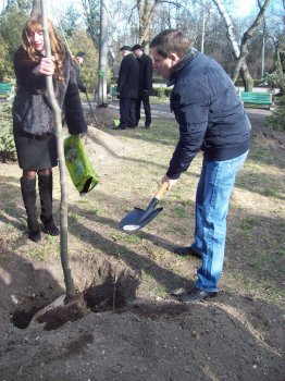 Сегодня политэлита Одессы усердно высаживала деревья