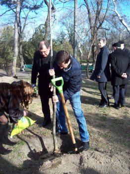 Сегодня политэлита Одессы усердно высаживала деревья