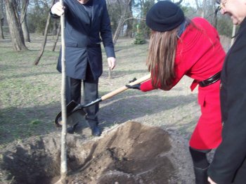 Сегодня политэлита Одессы усердно высаживала деревья