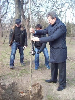 Сегодня политэлита Одессы усердно высаживала деревья