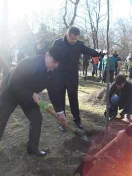Сегодня политэлита Одессы усердно высаживала деревья