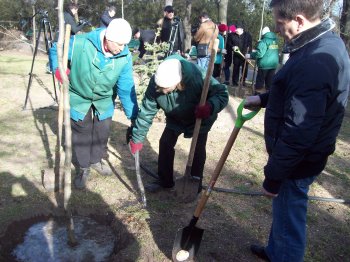 Сегодня политэлита Одессы усердно высаживала деревья