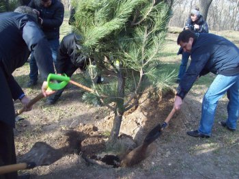 Сегодня политэлита Одессы усердно высаживала деревья