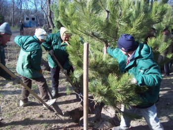 Сегодня политэлита Одессы усердно высаживала деревья