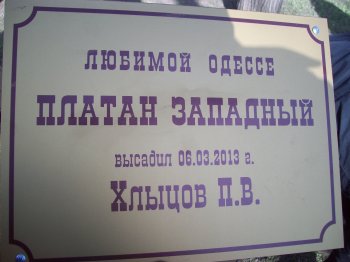 Сегодня политэлита Одессы усердно высаживала деревья
