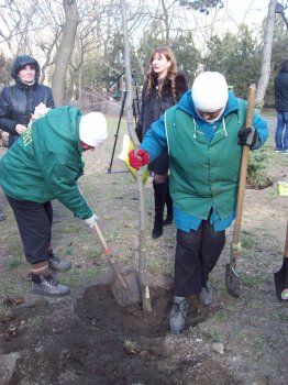 Сегодня политэлита Одессы усердно высаживала деревья