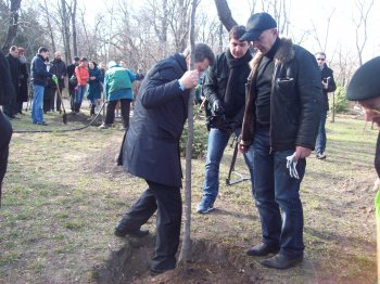 Сегодня политэлита Одессы усердно высаживала деревья