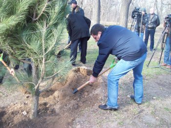Сегодня политэлита Одессы усердно высаживала деревья