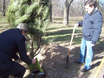 Сегодня политэлита Одессы усердно высаживала деревья