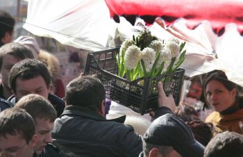 В Одессе — цветочный бум! (фото)