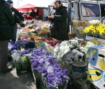 В Одессе — цветочный бум! (фото)